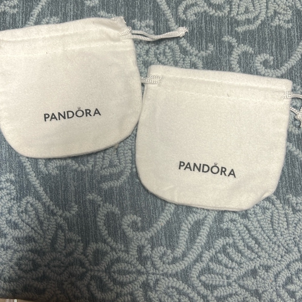 Pandora charmed, dust bags